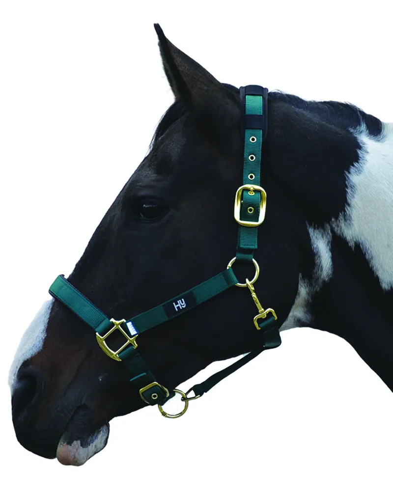 Hy Equestrian Deluxe Padded Head Collar - Bottle Green